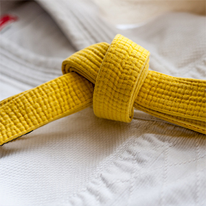 1000 Lean Six Sigma Yellow Belt Certification
